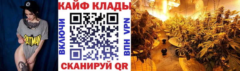 Виды наркотиков купить Колпашево Конопля  COCAIN  A PVP  ГАШИШ 