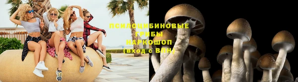 прущая мука Арсеньев