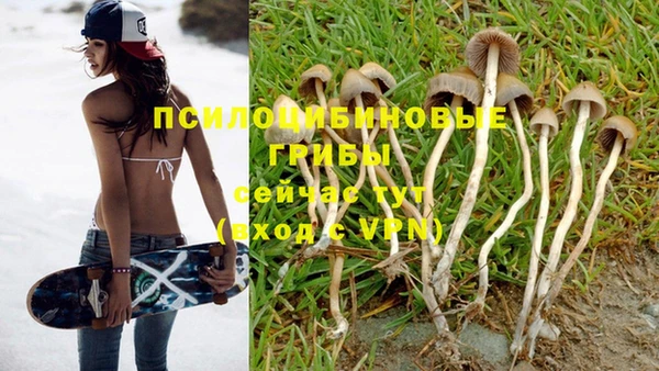 ALPHA PVP Армянск