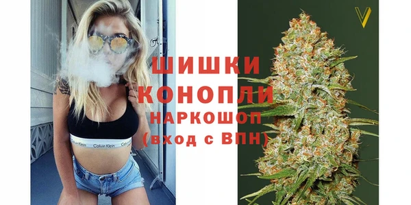 прущая мука Арсеньев