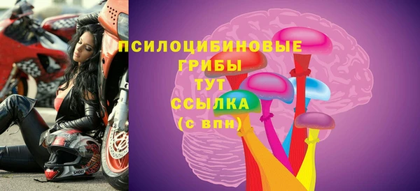 прущая мука Арсеньев
