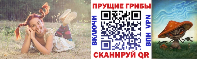 Псилоцибиновые грибы мухоморы  Колпашево 