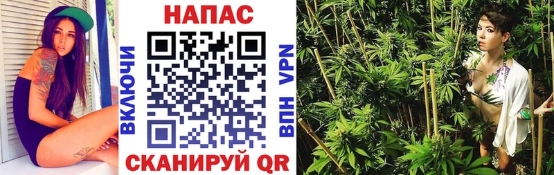 закладка Колпашево Бошки Шишки Ganja